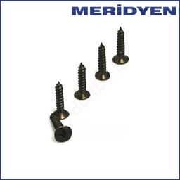 SUNTA VİDASI SİYAH MERİDYEN için detaylı bilgi göster SUNTA VİDASI SİYAH MERİDYEN resmi