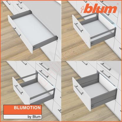 BLUM ANTARO RAY Resmi