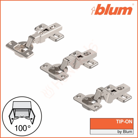 BLUM YAYSIZ MENTEŞE (BAS.AÇ.İÇİN) resmi
