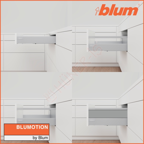BLUM ANTARO RAY resmi