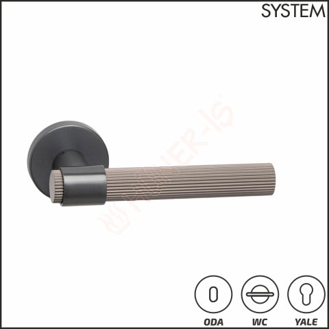 AXEL-L KAPI KOLU resmi